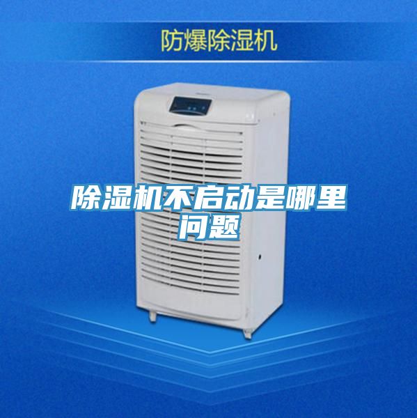 草莓污视频在线看不啟動是哪裏問題