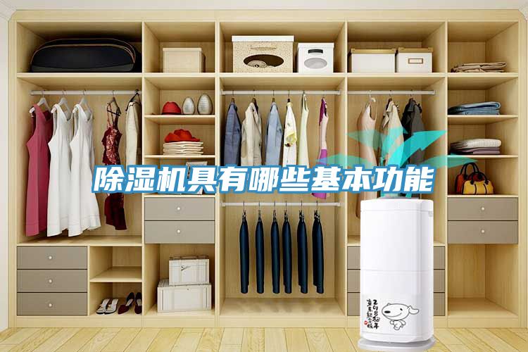 草莓污视频在线看具有哪些基本功能