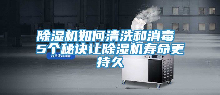 草莓污视频在线看如何清洗和消毒 5個秘訣讓草莓污视频在线看壽命更持久