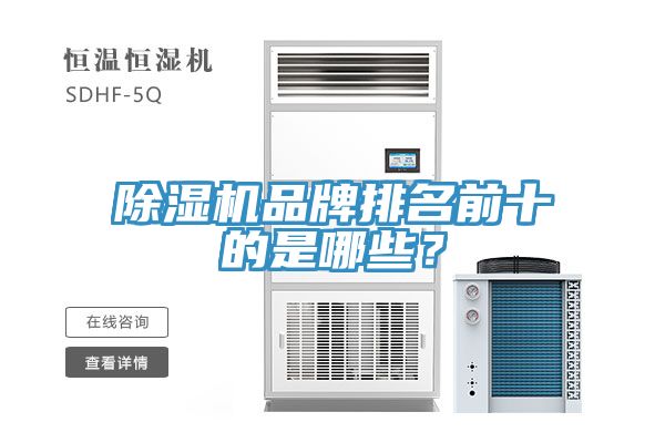 草莓污视频在线看品牌排名前十的是哪些？