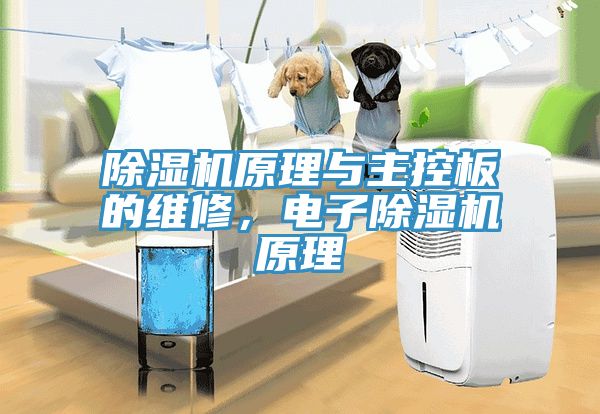 草莓污视频在线看原理與主控板的維修，電子草莓污视频在线看原理