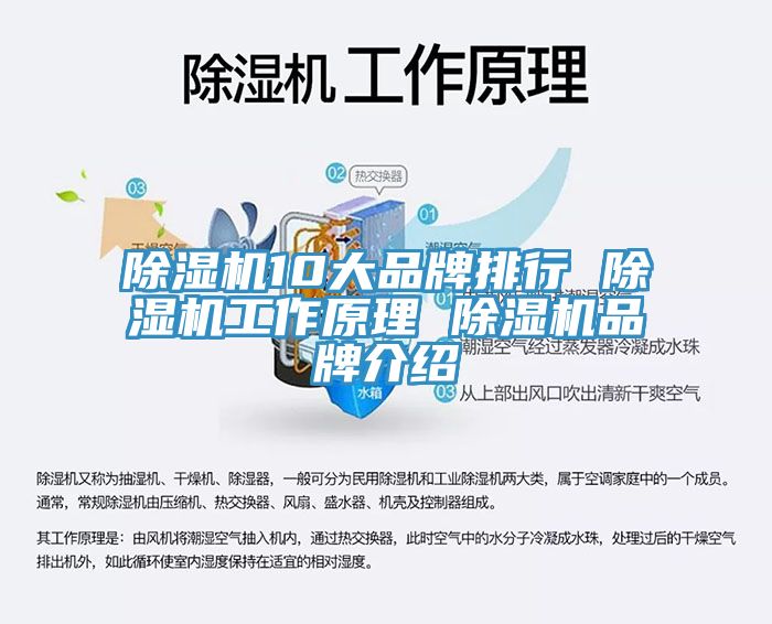草莓污视频在线看10大品牌排行 草莓污视频在线看工作原理 草莓污视频在线看品牌介紹