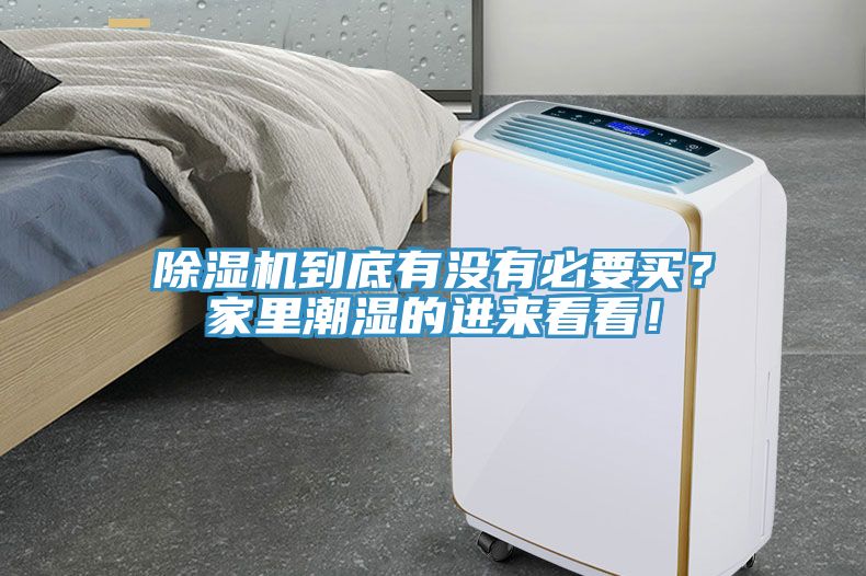 草莓污视频在线看到底有沒有必要買？家裏潮濕的進來看看！