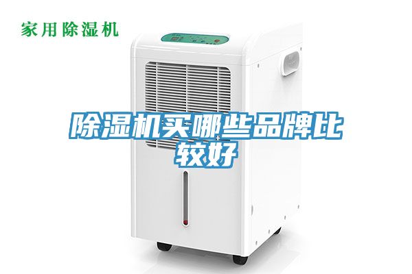 草莓污视频在线看買哪些品牌比較好