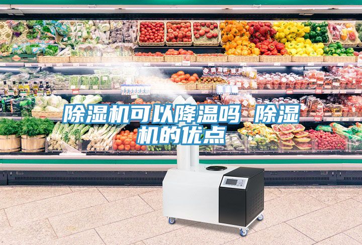 草莓污视频在线看可以降溫嗎 草莓污视频在线看的優點