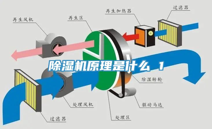 草莓污视频在线看原理是什麽 1