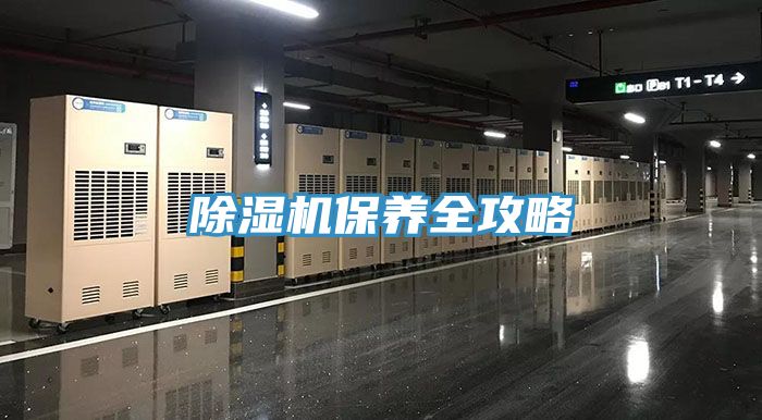 草莓污视频在线看保養全攻略