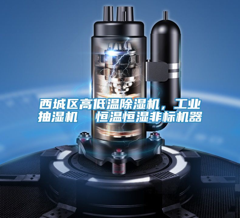 西城區高低溫草莓污视频在线看，工業抽濕機  恒溫恒濕非標機器