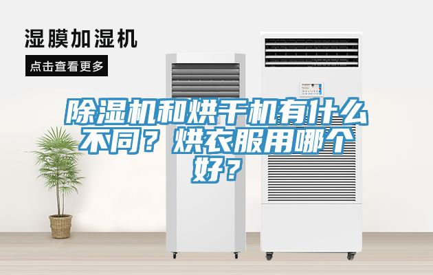 草莓污视频在线看和烘幹機有什麽不同？烘衣服用哪個好？