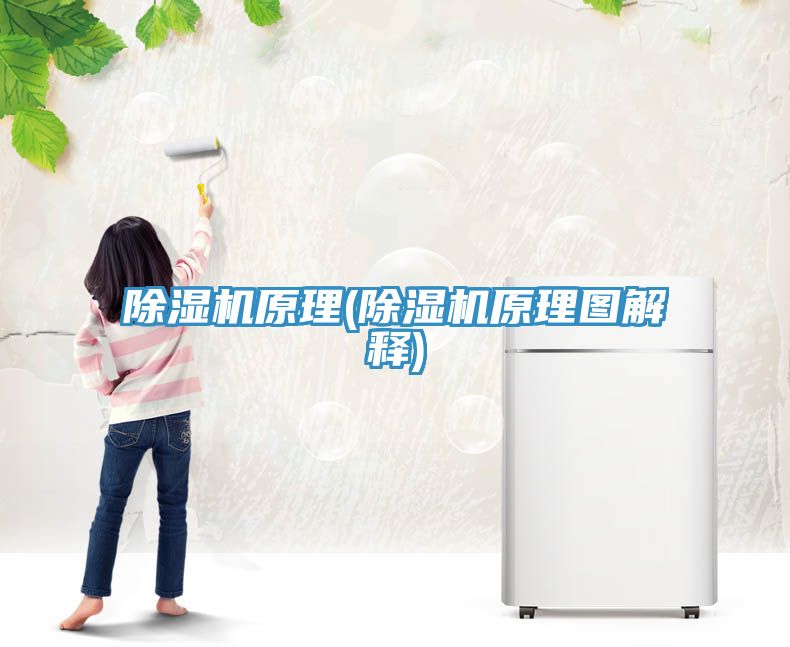 草莓污视频在线看原理(草莓污视频在线看原理圖解釋)