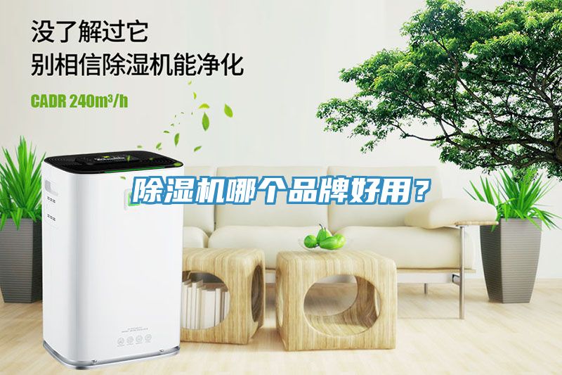 草莓污视频在线看哪個品牌好用？