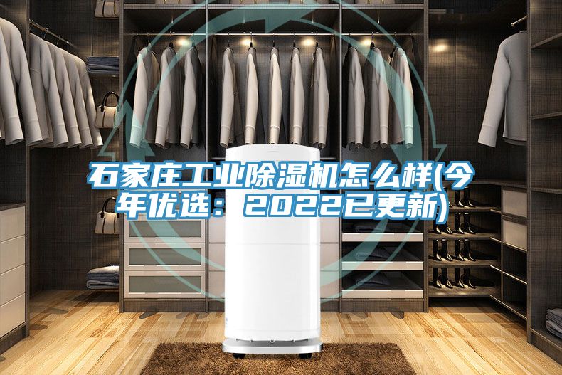 石家莊工業草莓污视频在线看怎麽樣(今年優選：2022已更新)
