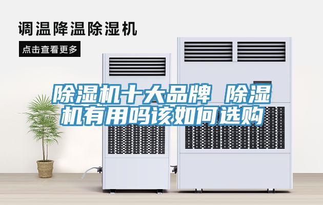 草莓污视频在线看十大品牌 草莓污视频在线看有用嗎該如何選購