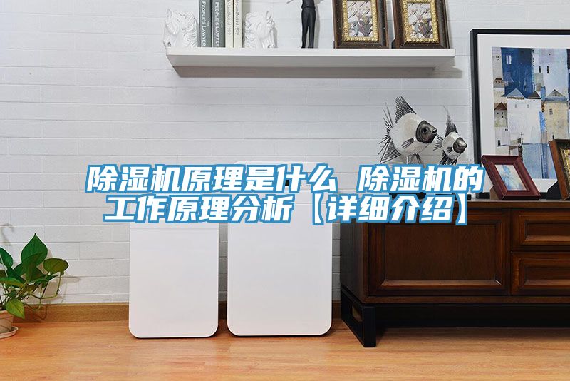 草莓污视频在线看原理是什麽 草莓污视频在线看的工作原理分析【詳細介紹】