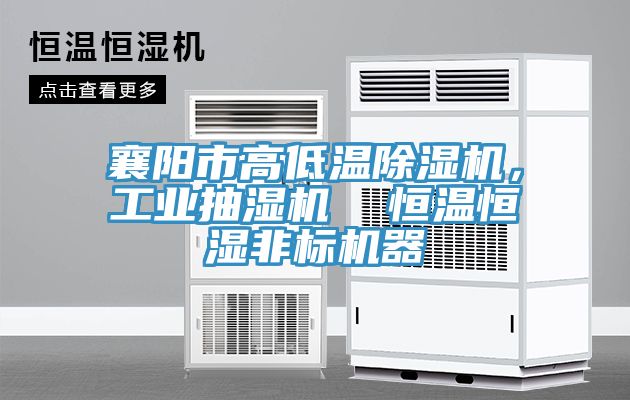 襄陽市高低溫草莓污视频在线看，工業抽濕機  恒溫恒濕非標機器