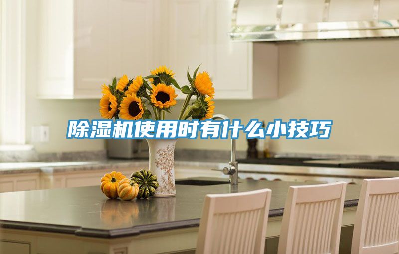 草莓污视频在线看使用時有什麽小技巧