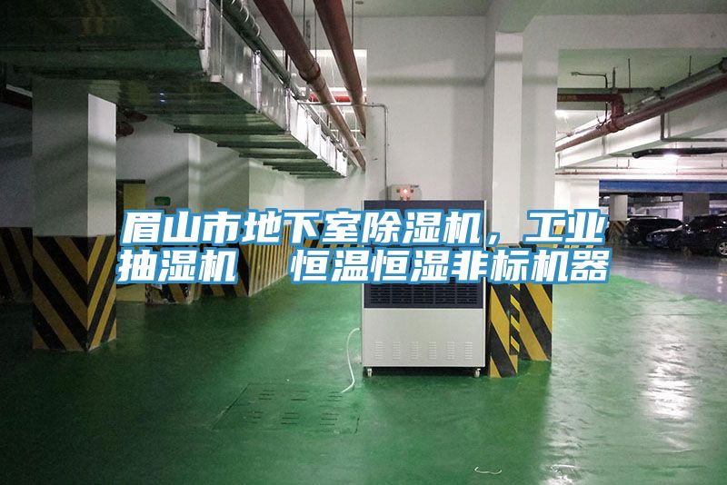 眉山市地下室草莓污视频在线看，工業抽濕機  恒溫恒濕非標機器
