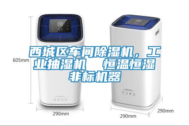 西城區車間草莓污视频在线看，工業抽濕機  恒溫恒濕非標機器