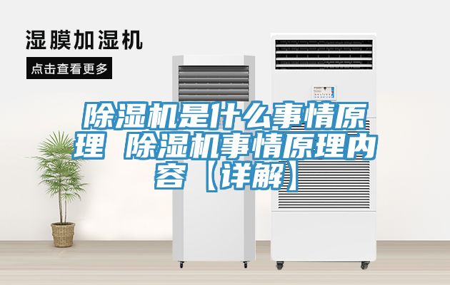 草莓污视频在线看是什麽事情原理 草莓污视频在线看事情原理內容【詳解】