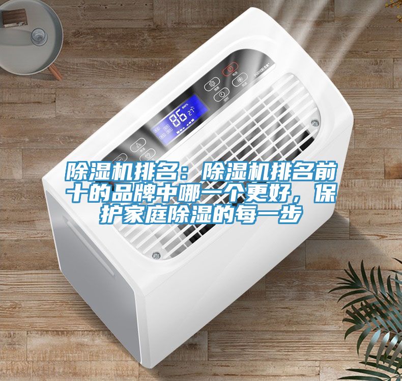 草莓污视频在线看排名：草莓污视频在线看排名前十的品牌中哪一個更好，保護家庭除濕的每一步