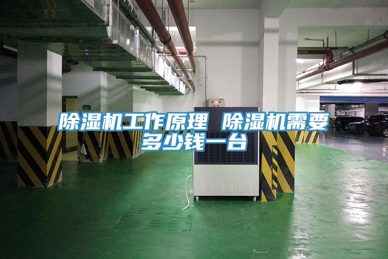 草莓污视频在线看工作原理 草莓污视频在线看需要多少錢一台