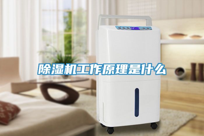 草莓污视频在线看工作原理是什麽