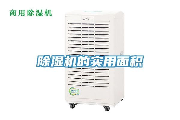 草莓污视频在线看的實用麵積