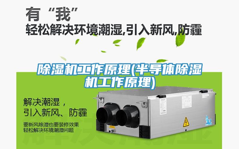 草莓污视频在线看工作原理(半導體草莓污视频在线看工作原理)
