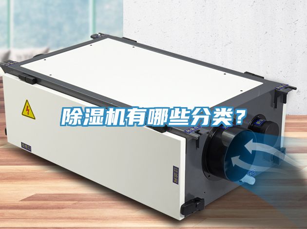 草莓污视频在线看有哪些分類？