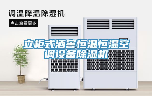 立櫃式酒窖恒溫恒濕空調設備草莓污视频在线看