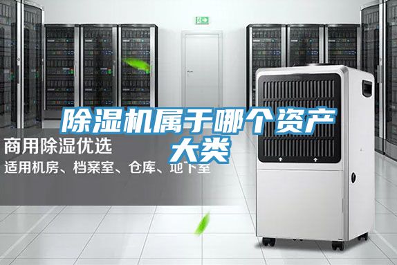 草莓污视频在线看屬於哪個資產大類
