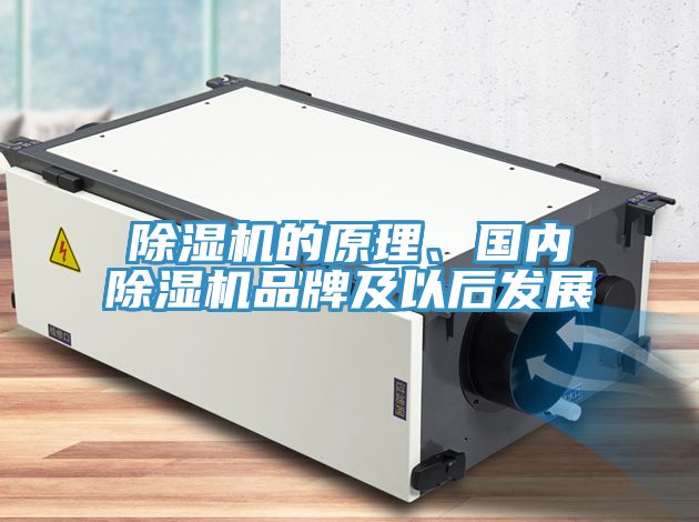 草莓污视频在线看的原理、國內草莓污视频在线看品牌及以後發展