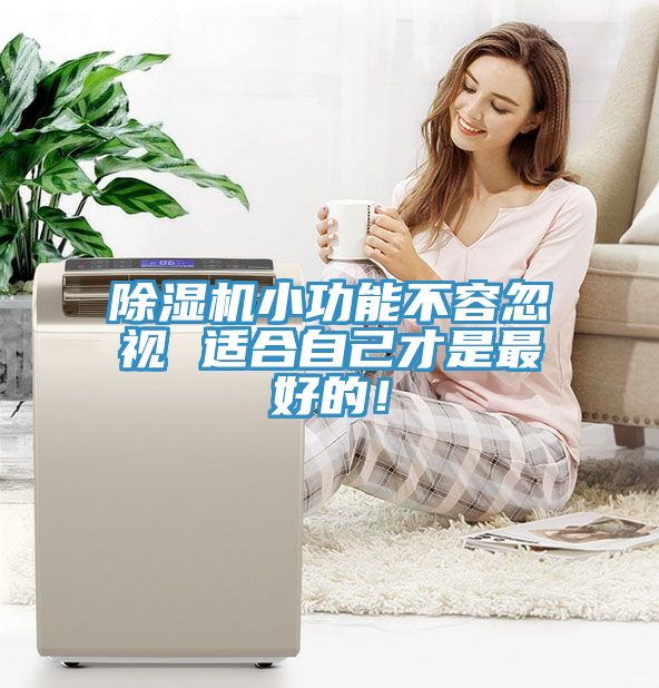 草莓污视频在线看小功能不容忽視 適合自己才是最好的！