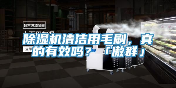 草莓污视频在线看清潔用毛刷，真的有效嗎？「傲群」