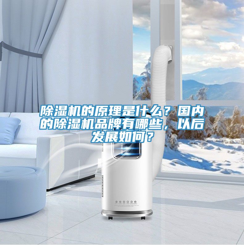 草莓污视频在线看的原理是什麽？國內的草莓污视频在线看品牌有哪些，以後發展如何？