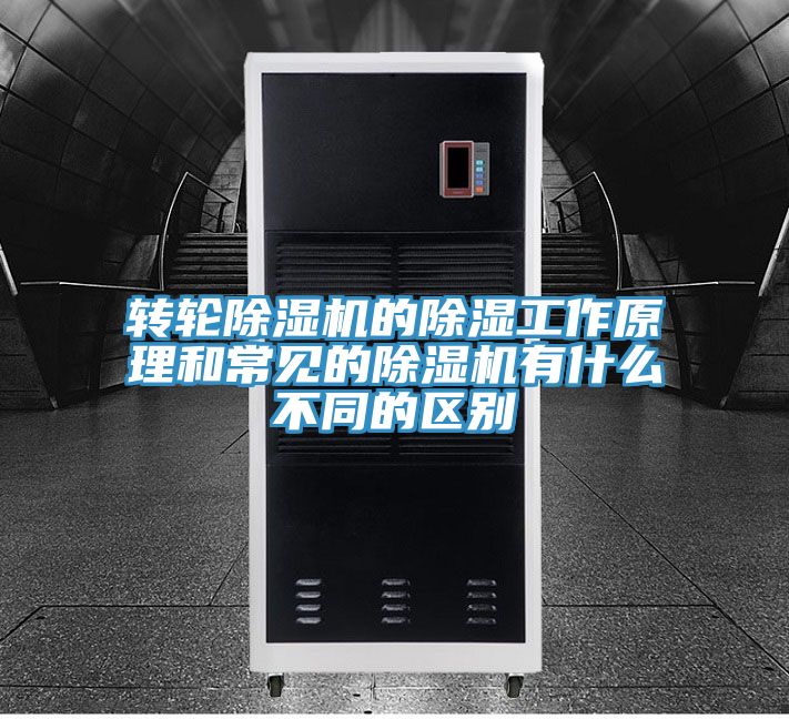 轉輪草莓污视频在线看的除濕工作原理和常見的草莓污视频在线看有什麽不同的區別