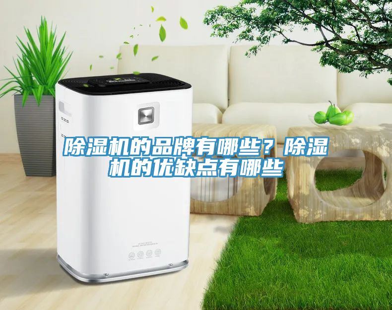草莓污视频在线看的品牌有哪些？草莓污视频在线看的優缺點有哪些