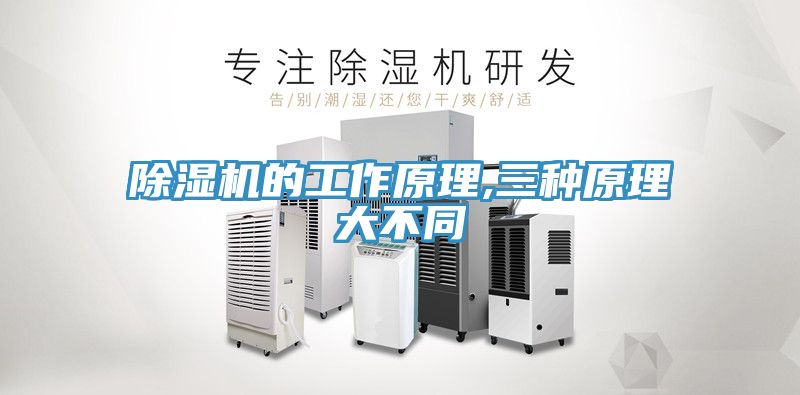 草莓污视频在线看的工作原理,三種原理大不同