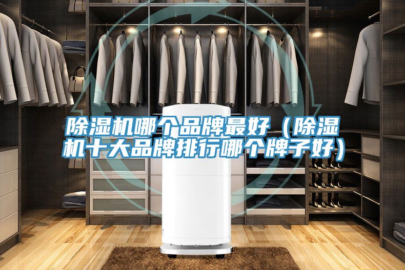 草莓污视频在线看哪個品牌最好（草莓污视频在线看十大品牌排行哪個牌子好）