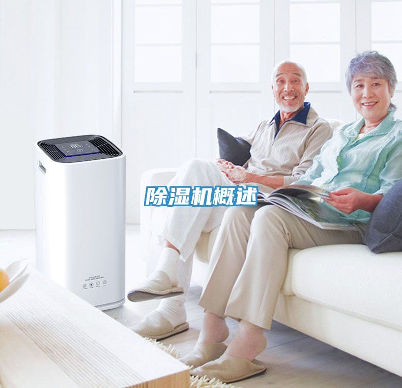 草莓污视频在线看概述