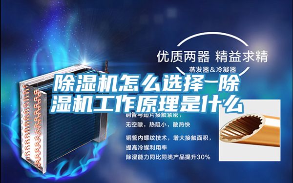 草莓污视频在线看怎麽選擇 草莓污视频在线看工作原理是什麽