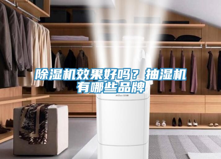 草莓污视频在线看效果好嗎？抽濕機有哪些品牌