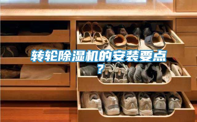 轉輪草莓污视频在线看的安裝要點？