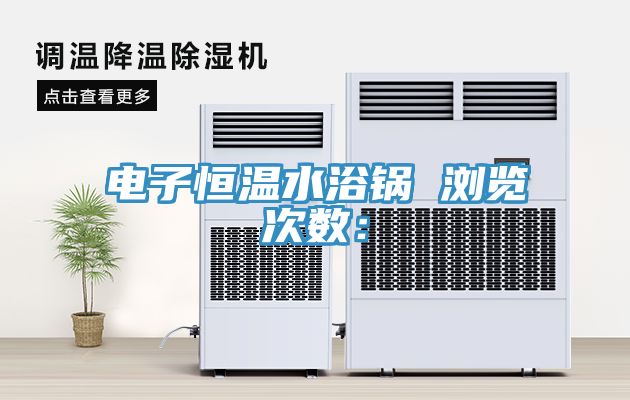 電子恒溫水浴鍋　　瀏覽次數：