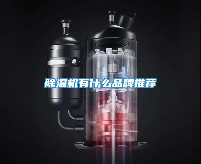 草莓污视频在线看有什麽品牌推薦