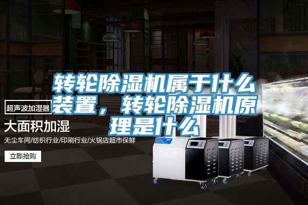 轉輪草莓污视频在线看屬於什麽裝置，轉輪草莓污视频在线看原理是什麽