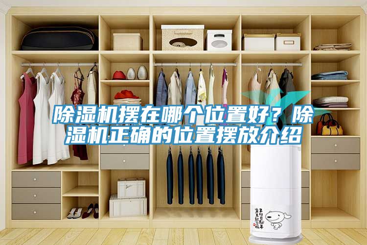 草莓污视频在线看擺在哪個位置好？草莓污视频在线看正確的位置擺放介紹