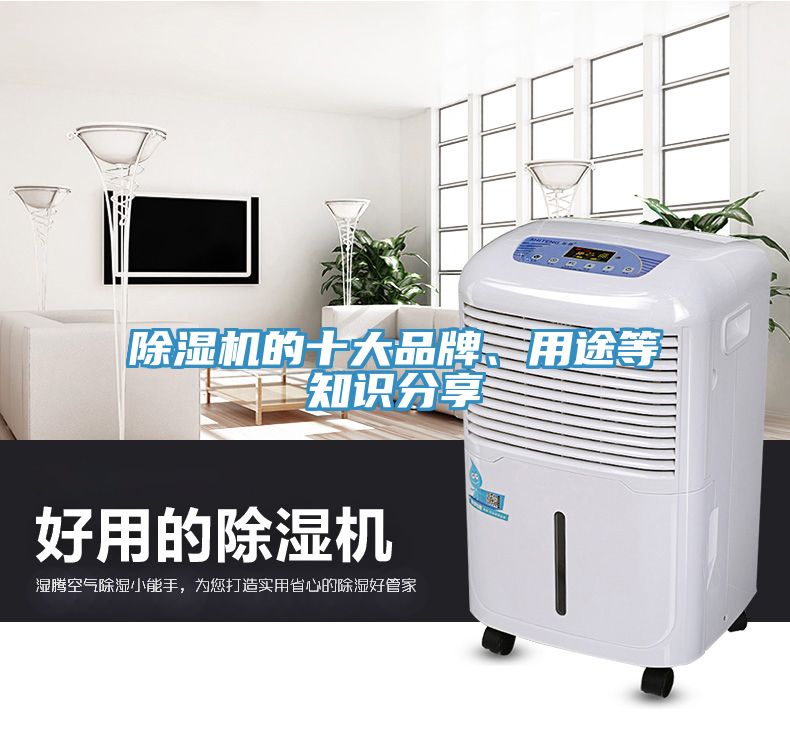 草莓污视频在线看的十大品牌、用途等知識分享