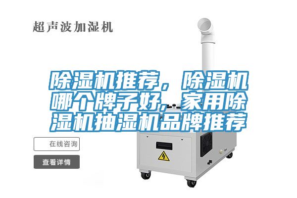 草莓污视频在线看推薦，草莓污视频在线看哪個牌子好, 家用草莓污视频在线看抽濕機品牌推薦