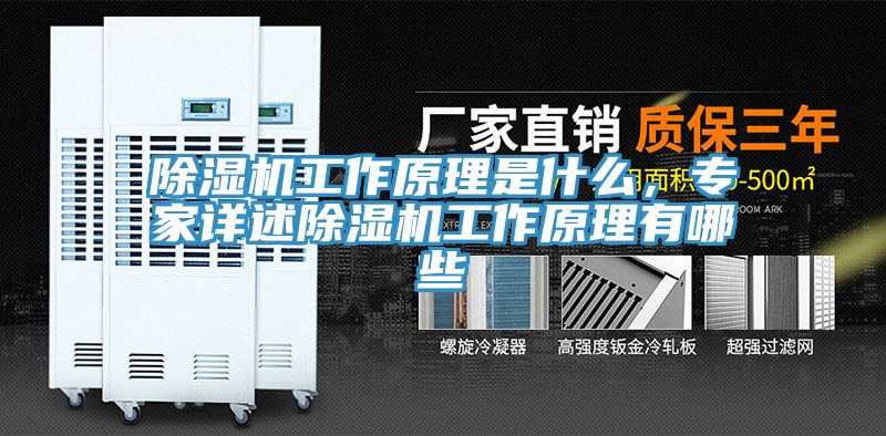 草莓污视频在线看工作原理是什麽，專家詳述草莓污视频在线看工作原理有哪些